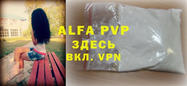 гашик Богданович