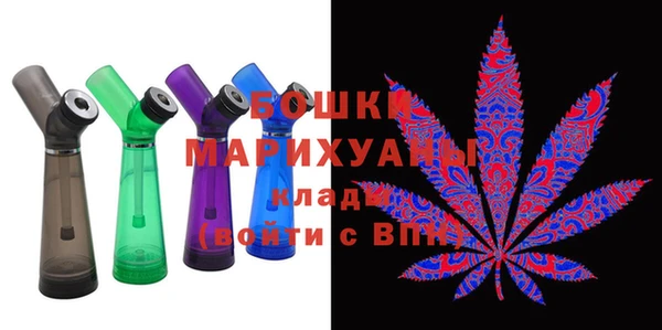 шишки Белокуриха