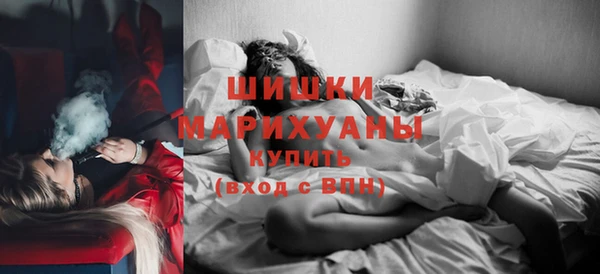 гашик Богданович