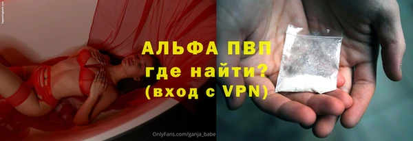 гашик Богданович