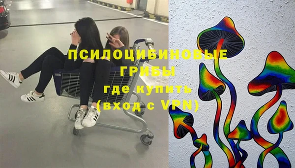винт Богородицк