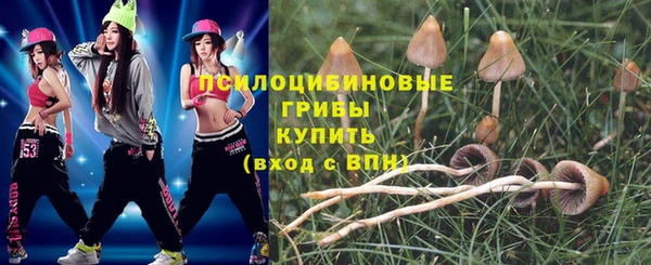 винт Богородицк