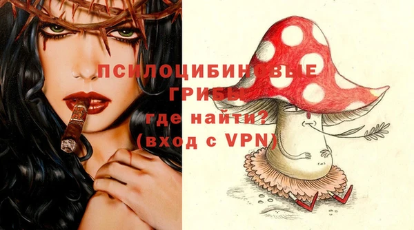 винт Богородицк