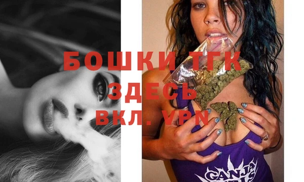 гашик Богданович