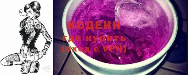 гашик Богданович