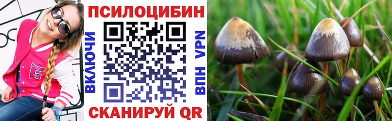 Галлюциногенные грибы мицелий  купить закладку  Острогожск 